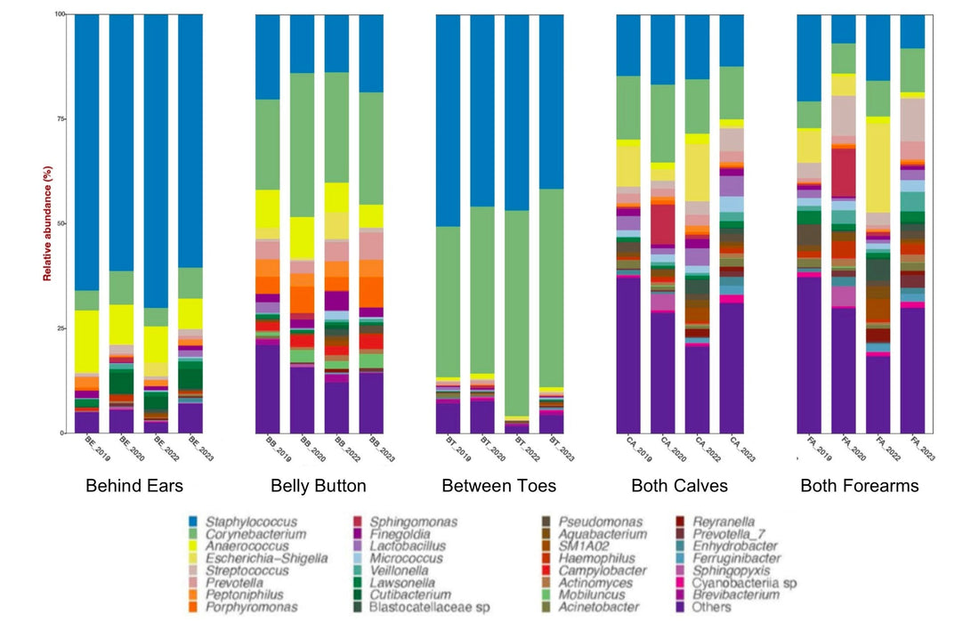 Dysbiosis: A Diversity Imbalance